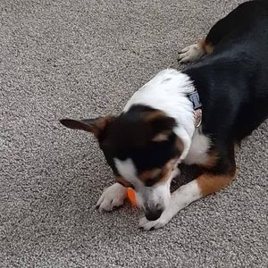 Meet your Posher, Mark